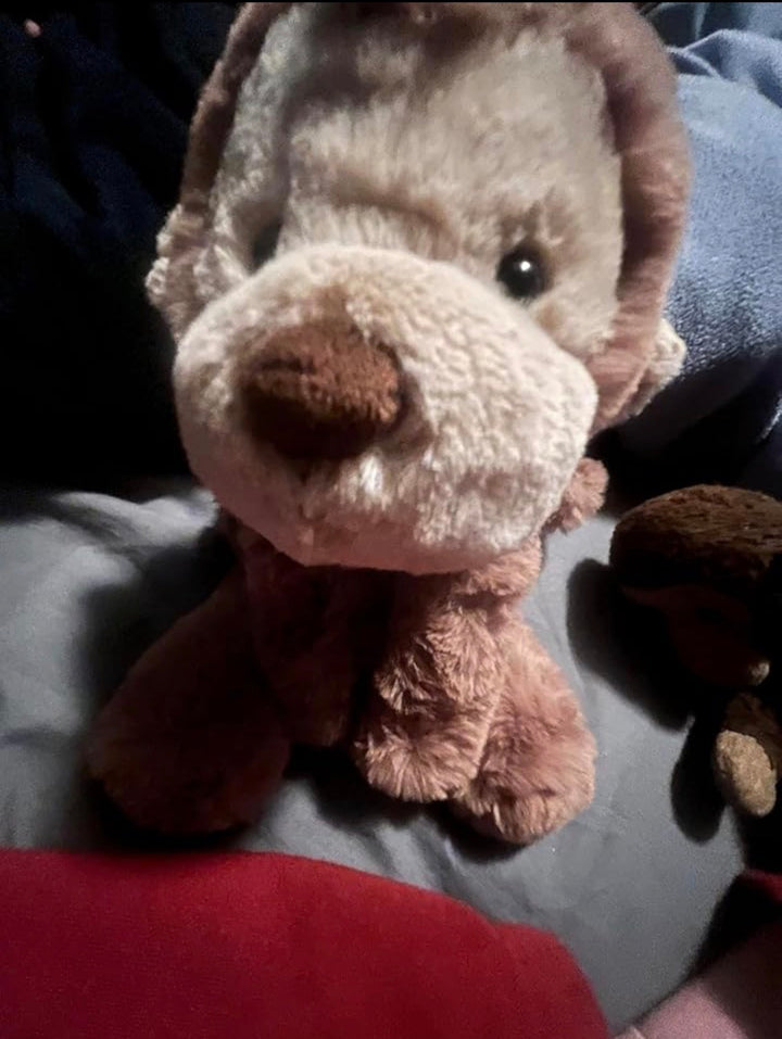 Review by Kayla R.